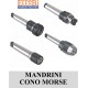 mandrini CONO MORSE